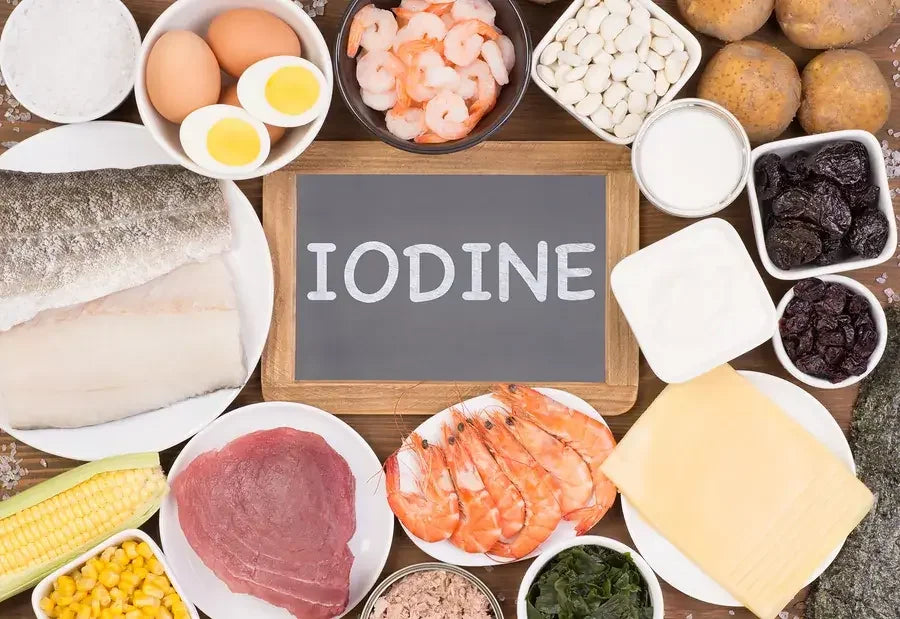 Iodine-rich foods like fish, shrimp, eggs, cheese, and vegetables on table for Magnascent Iodine.