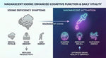 Magnascent Iodine infographic showing cognitive benefits, energy boost, and improved brain health.