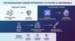 Magnascent Iodine infographic comparing activated nascent iodine to ordinary iodine, highlighting absorption, patented process, and health benefits like mental clarity, metabolic support, and immune health.