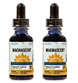 IODINE and IODIDE, What’s the Difference? – Magnascent Iodine