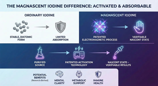 Magnascent Iodine Liquid Drops – 1/4 oz Dietary Supplement