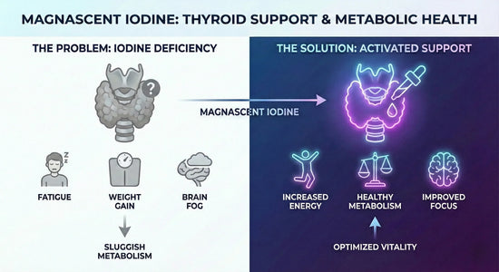 Magnascent Iodine Liquid Drops – 1/4 oz Dietary Supplement
